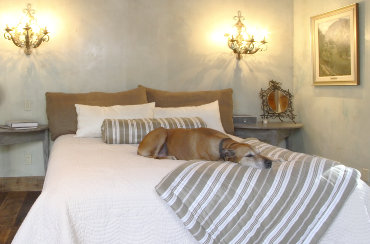 Accommodation search
