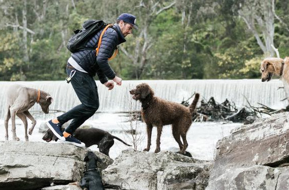 Tom + Captain Dog Walking Adventures