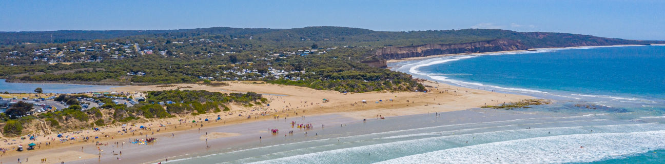Anglesea dog friendly beaches