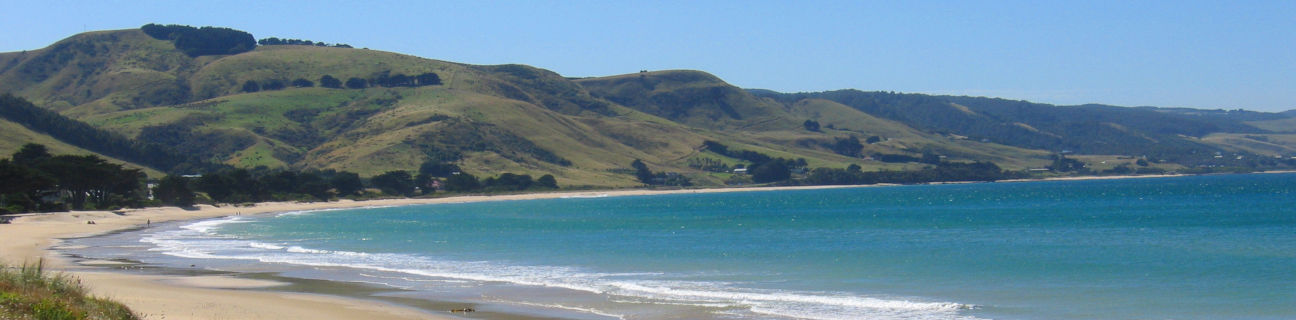 Apollo Bay dog friendly beaches