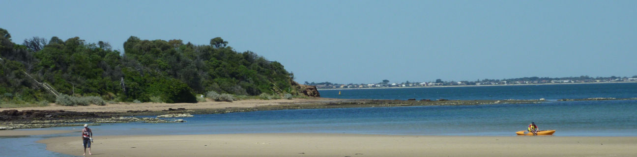 Beaumaris dog friendly beaches