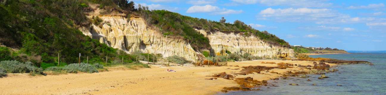 Black Rock dog friendly beaches