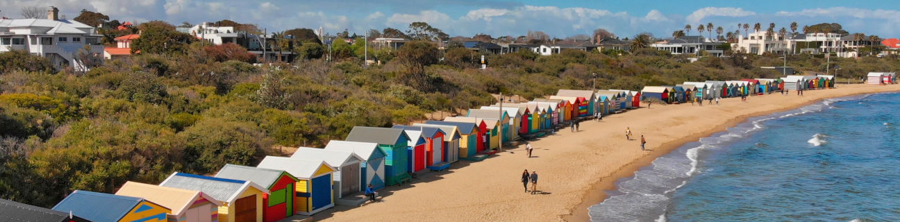 Brighton dog friendly beaches
