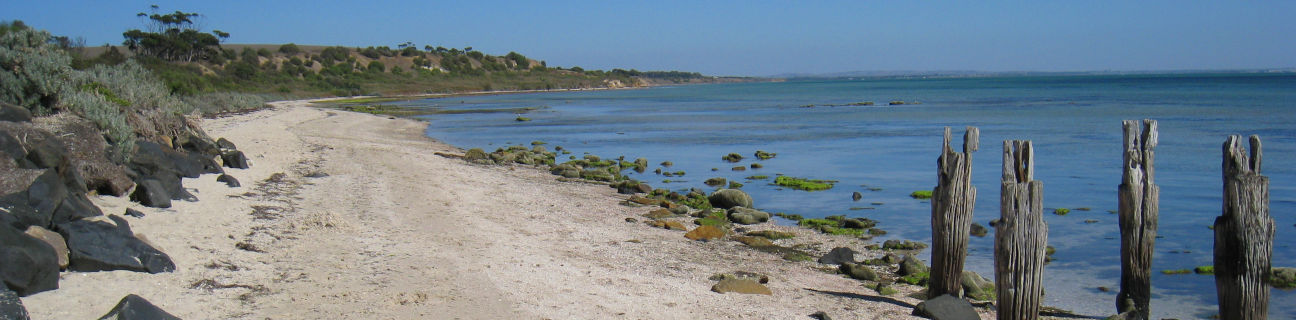 Clifton Springs dog friendly beaches