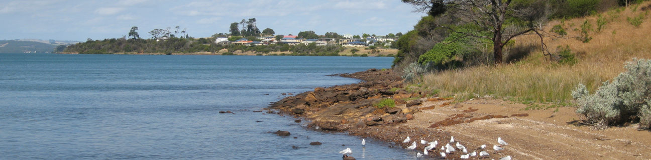 Corinella & Coronet Bay dog friendly beaches