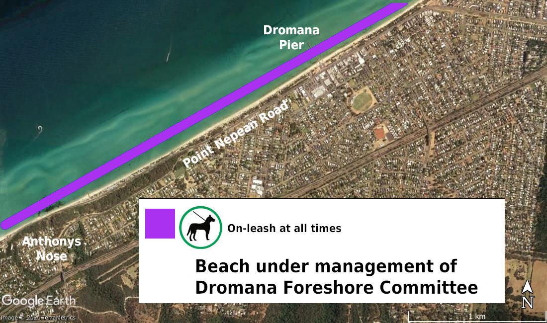 Dromana dog beach map