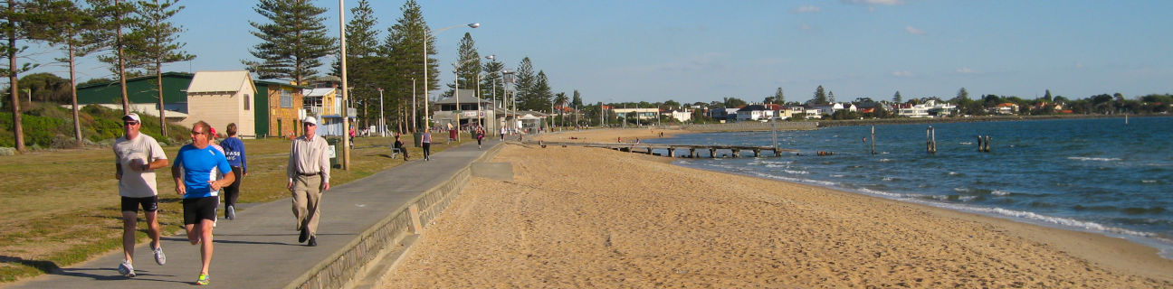 Elwood dog friendly beaches