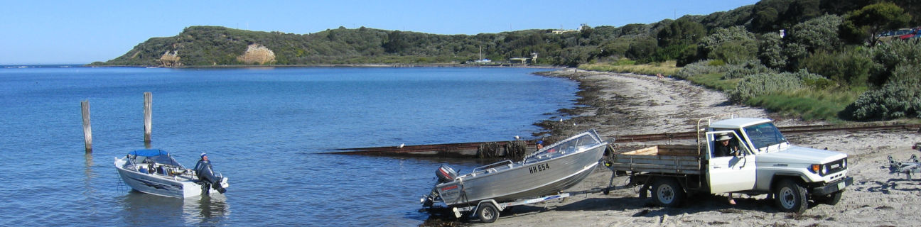 Flinders dog friendly beaches