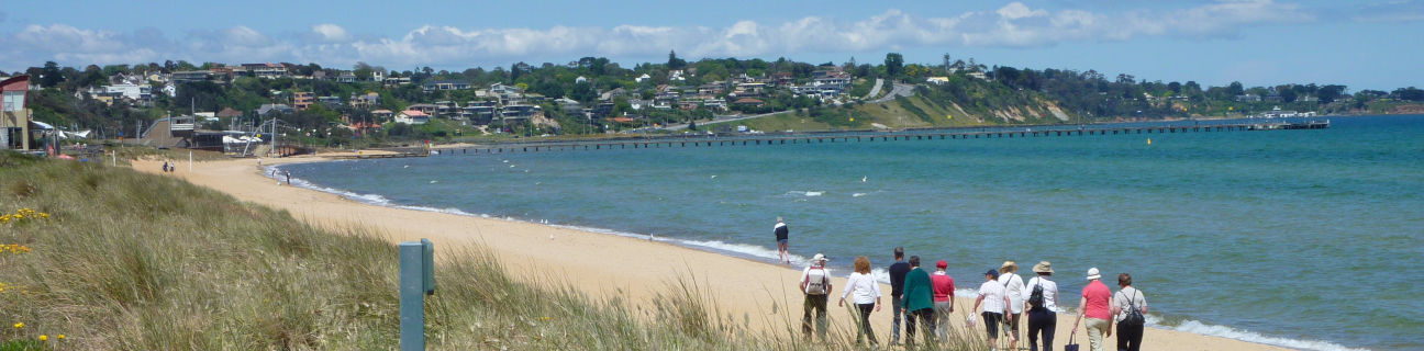 Frankston dog friendly beaches