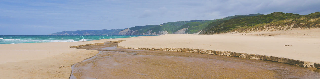 Johanna dog friendly beaches