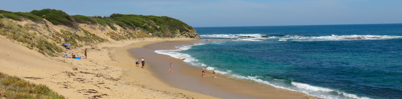 Kilcunda dog friendly beaches