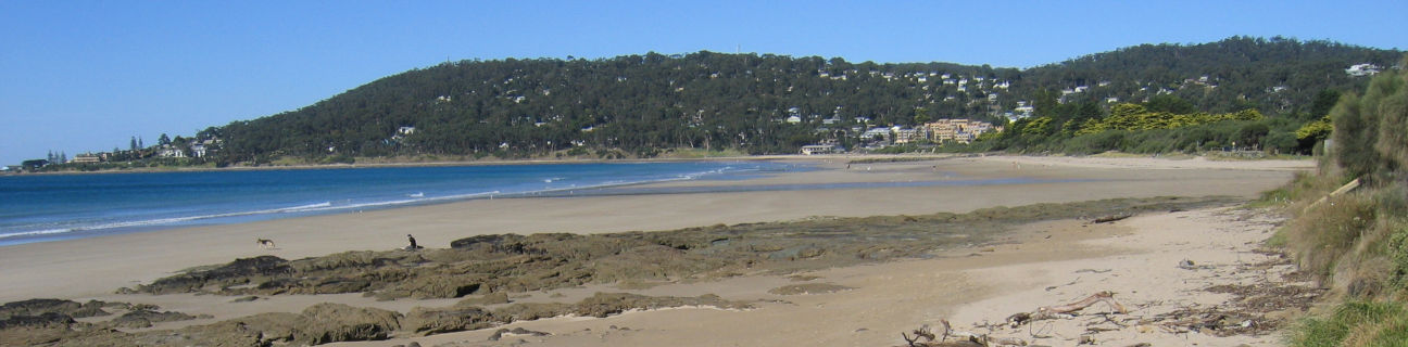 Lorne dog friendly beaches