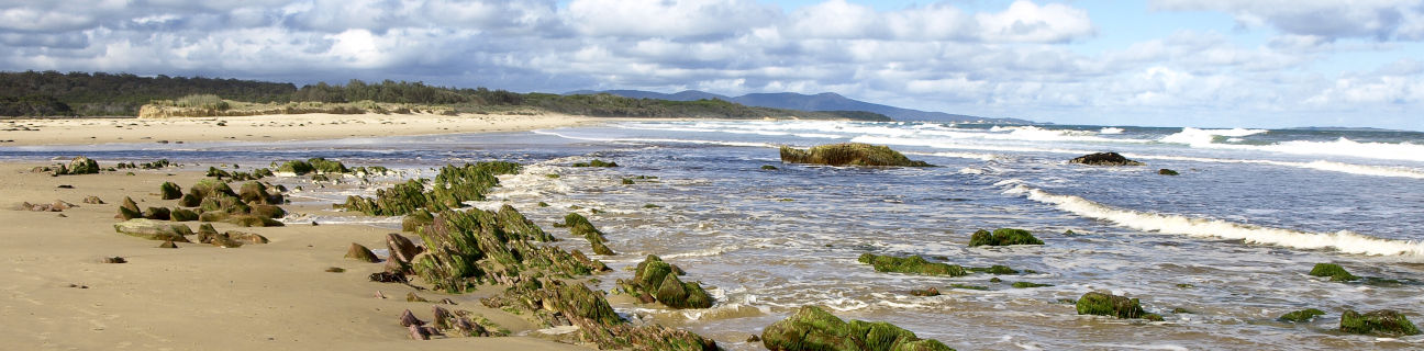 Mallacoota dog friendly beaches