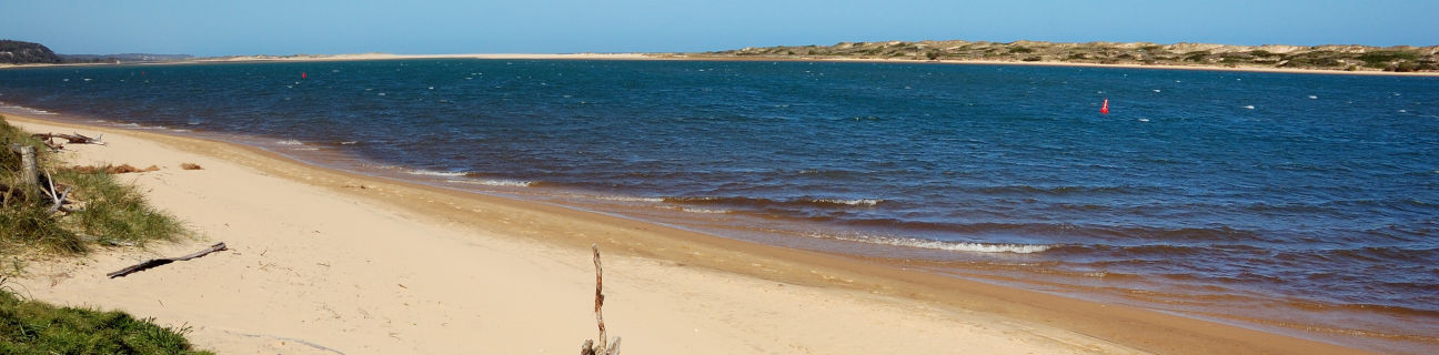 Marlo dog friendly beaches