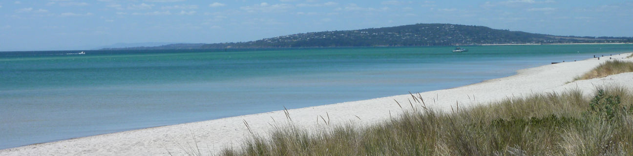 McCrae dog friendly beaches