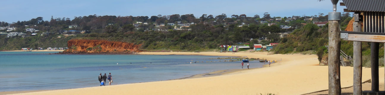 Mornington dog friendly beaches