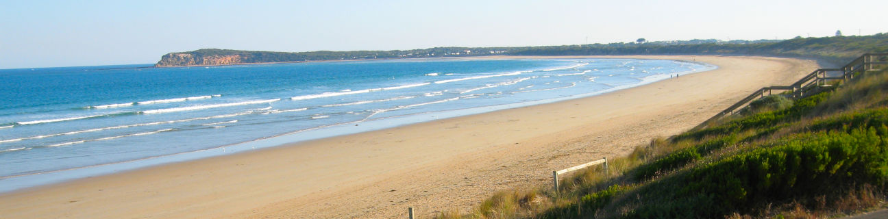 Ocean Grove dog friendly beaches