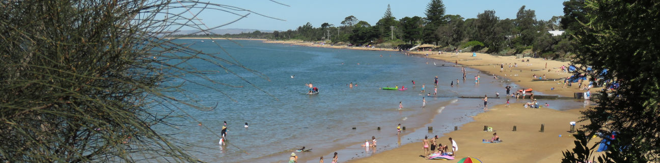 Phillip Island dog friendly beaches