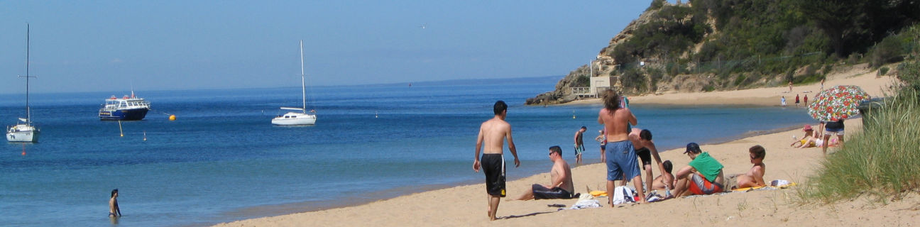 Portsea dog friendly beaches