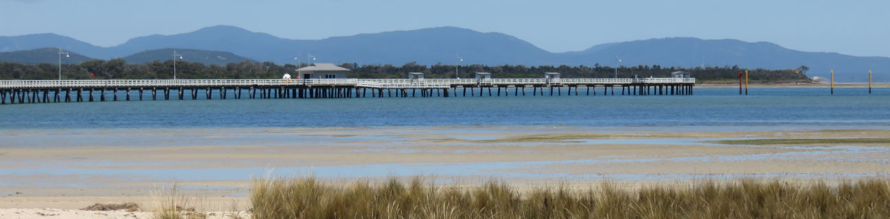 Port Welshpool dog friendly beaches