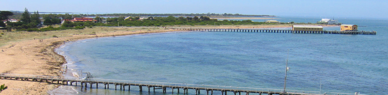 Queenscliff dog friendly beaches