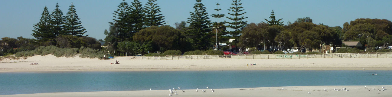 Rye & Tootgarook dog friendly beaches