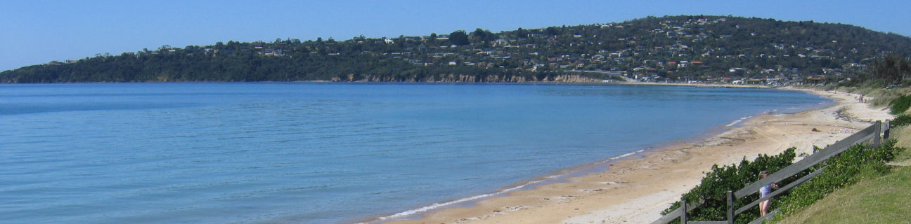 Safety Beach dog friendly beaches