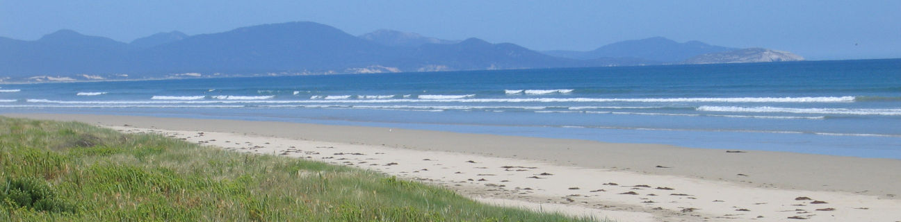 Sandy Point dog friendly beaches