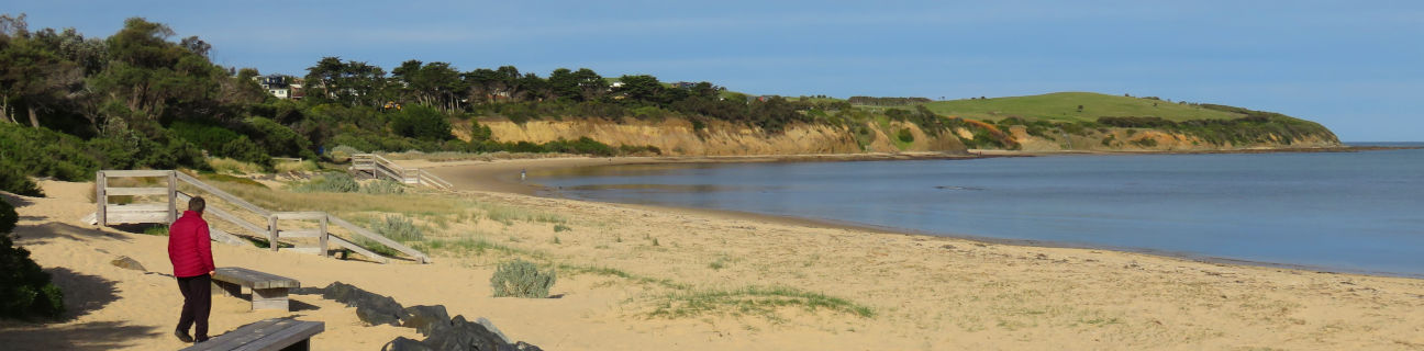 San Remo dog friendly beaches