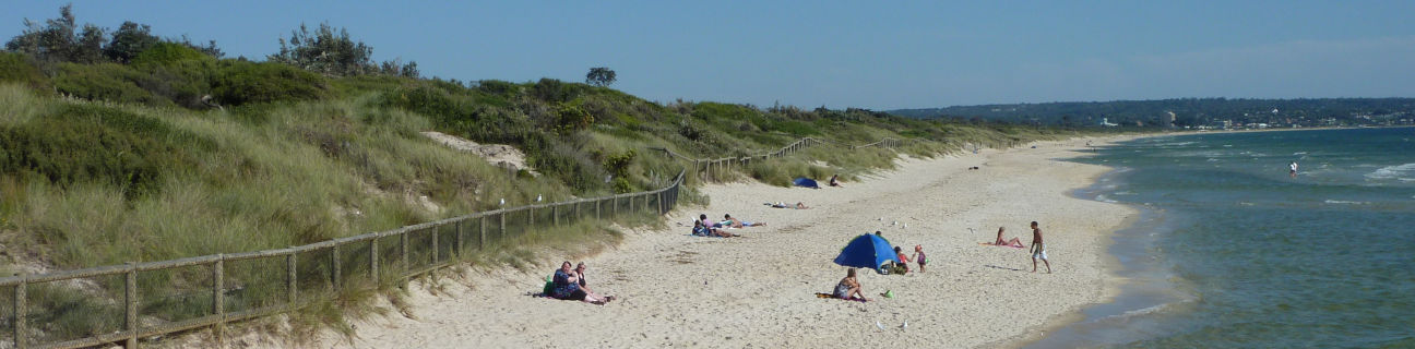 Seaford dog friendly beaches
