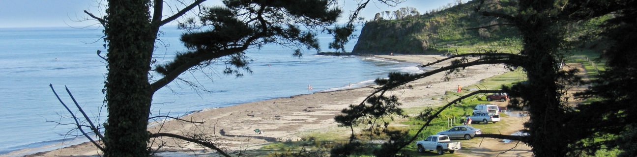 Shoreham dog friendly beaches