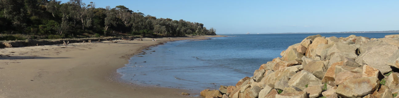 Somers dog friendly beaches