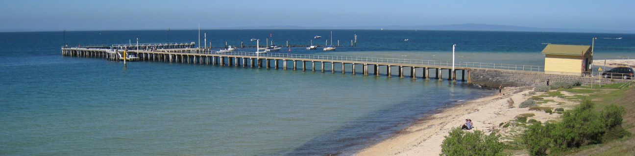 St Leonards dog friendly beaches
