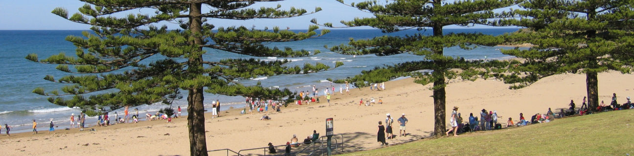 Torquay & Jan Juc dog friendly beaches