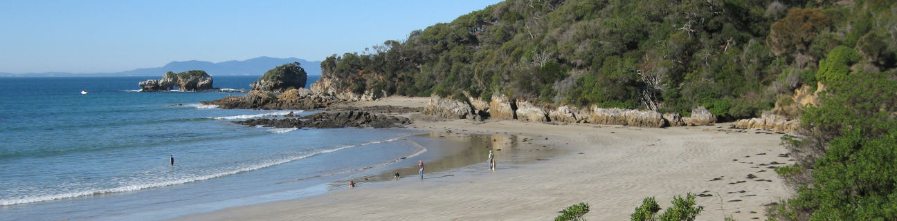 Walkerville dog friendly beaches
