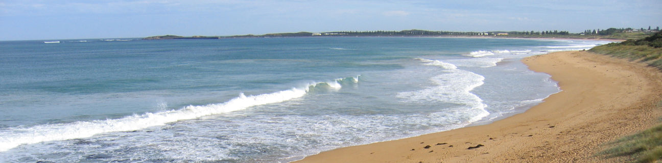 Warrnambool dog friendly beaches
