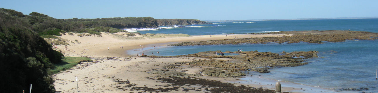 Wonthaggi & Cape Paterson dog friendly beaches