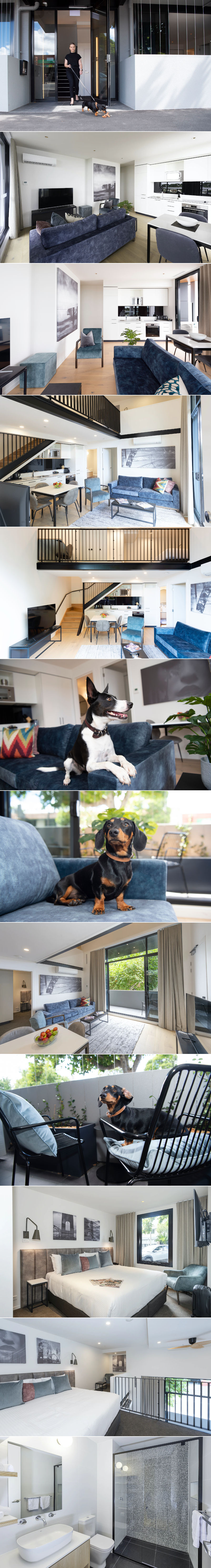 R Hotel Geelong - Dog-friendly 1 and 2 bedroom apartments
