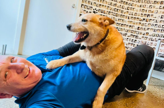 Andy's Doggy Day Care