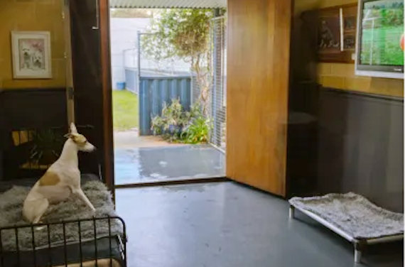 The Dog House Pet Resort