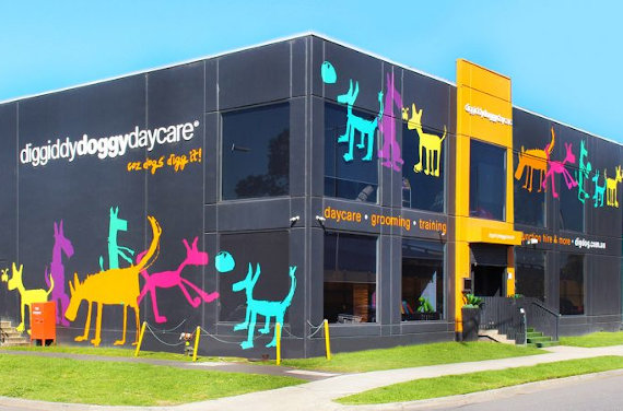 Diggiddy Doggy Daycare