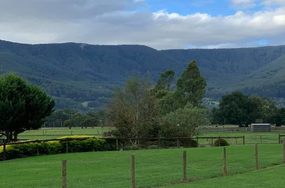 Upper Yarra Boarding Kennel