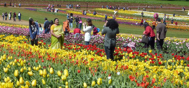 Dandenong Ranges region