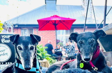 Pig & Whistle Hotel