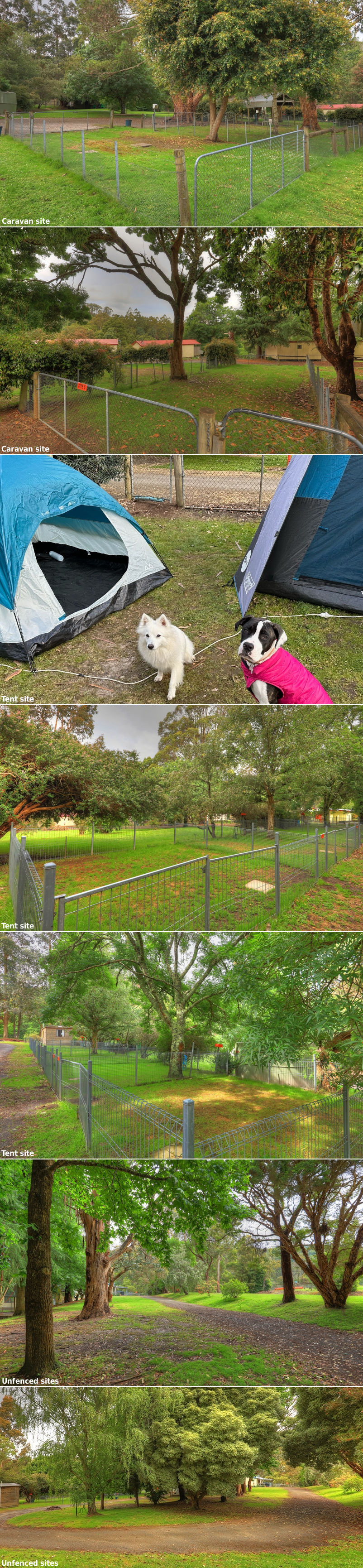 Best Friend Holiday Retreat - Sites