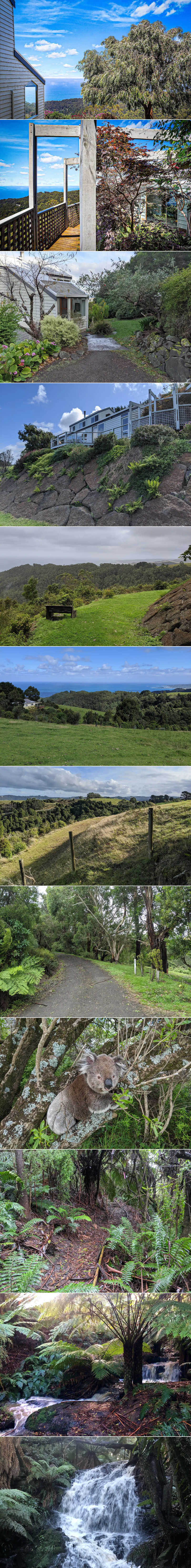 Eyrie House - Property grounds