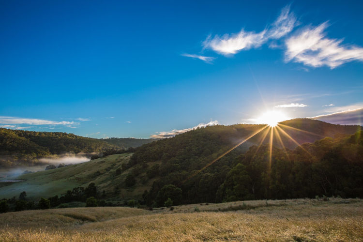 King Parrot Cottages & Event Centre, Pennyroyal