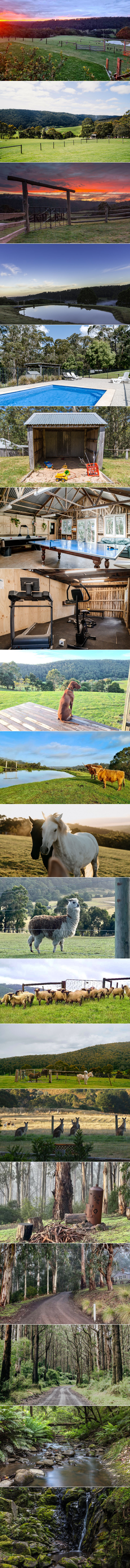King Parrot Cottages & Event Centre - Property facilities and grounds