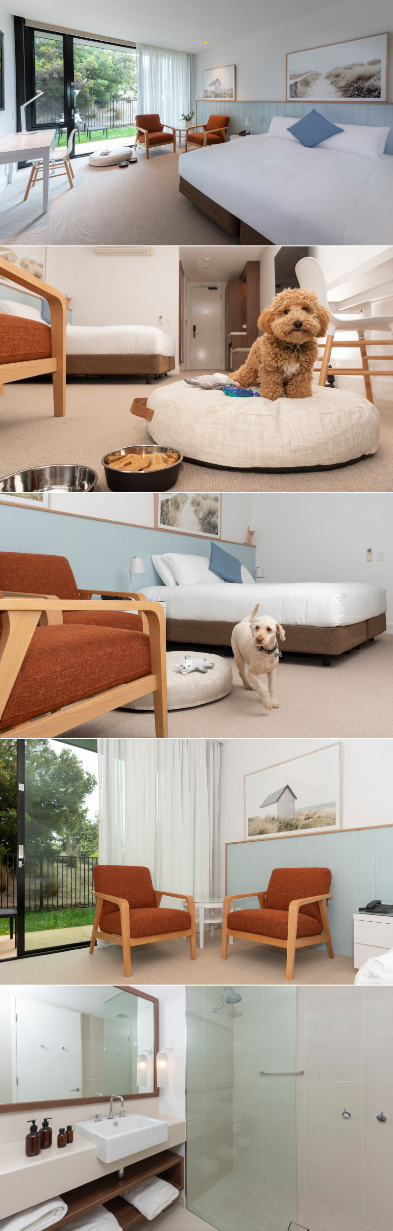 The Sands Torquay - Dog friendly hotel rooms