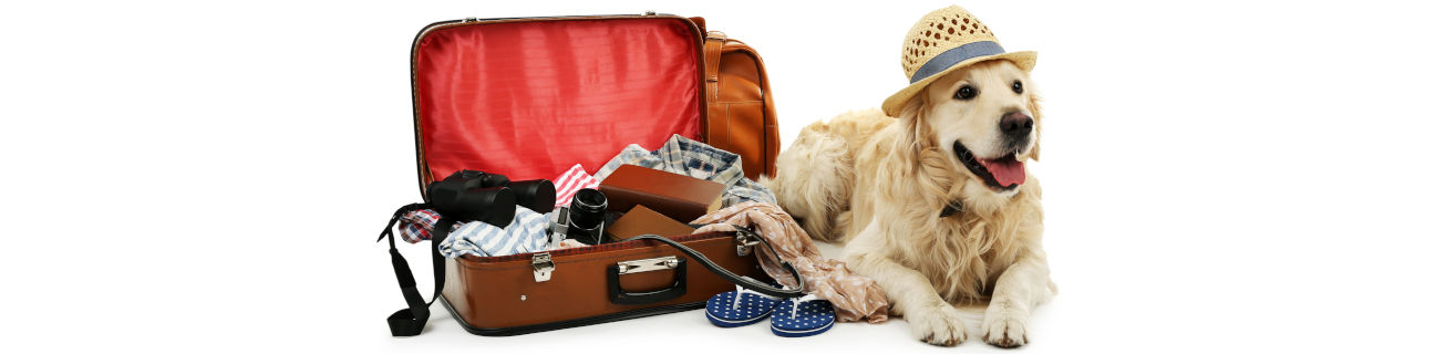 Holidaying information